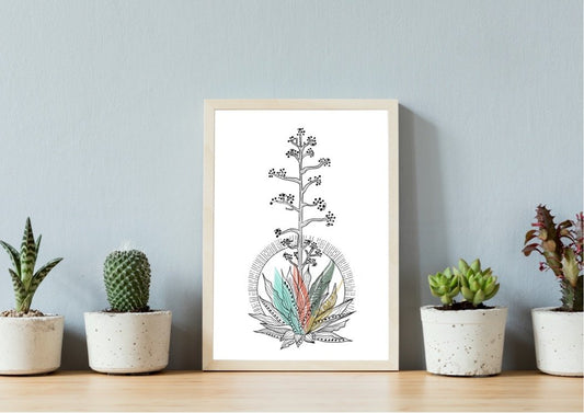 Ilustración pita colorida